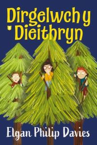 Book Cover for Dirgelwch Y Dieithryn by Elgan Philip Davies