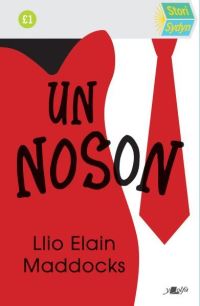 Book Cover for Un Noson by Llio Maddocks