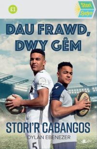 Book Cover for Dau Frawd, Dwy Gém by Dylan Ebenezer