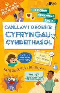 Book Cover for Canllaw I Oroesi'r Cyfryngau Cymdeithasol by Holly Bathie