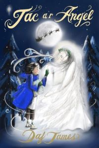 Book Cover for Jac A'r Angel by Dafydd James