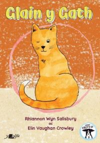 Book Cover for Glain Y Gath by Rhiannon Salisbury