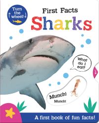Book Cover for Sharks by Georgie Taylor