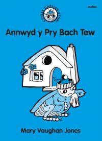 Book Cover for Annwyd Y Pry Bach Tew by Mary Vaughan Jones