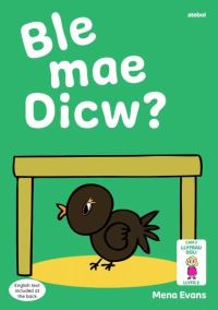 Book Cover for Llyfrau Hwyl Magi Ann by Mena Evans