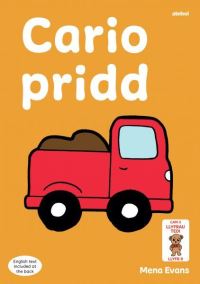 Book Cover for Cario Pridd by Mena Evans