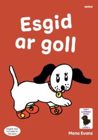 Book Cover for Esgid Ar Goll by Menna Evans