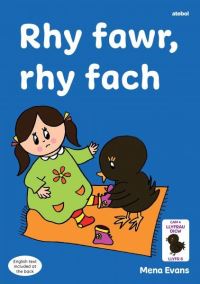 Book Cover for Rhy Fawr, Rhy Fach by Menna Evans