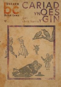 Book Cover for Cariad Yn Oes Y Gin by Chris Harris