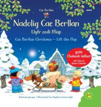 Book Cover for Nadolig Cae Berllan by Heather Amery