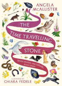 Book Cover for The Time Travelling Stone by Angela McAllister