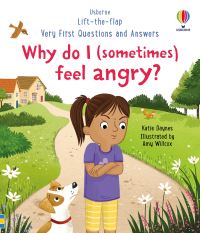 Book Cover for Why Do I (Sometimes) Feel Angry? by Katie Daynes