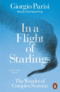 Book Cover for In a Flight of Starlings by Giorgio Parisi, Anna Parisi