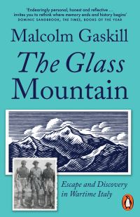 Book Cover for The Glass Mountain by Malcolm Gaskill
