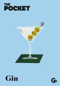 Book Cover for The Pocket Gin by Gemini Books
