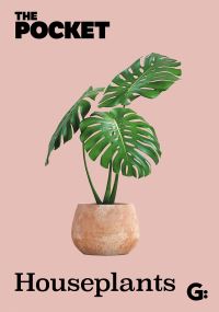 Book Cover for The Pocket Houseplants by 