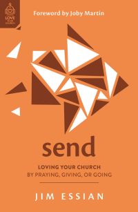 Book Cover for Send by Jim Essian