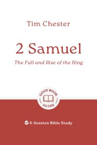 Book Cover for 2 Samuel by Tim Chester