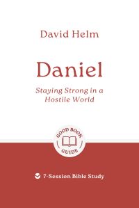 Book Cover for Daniel by David Helm