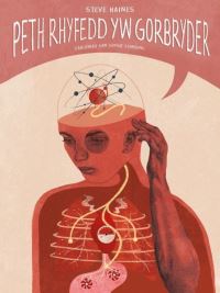 Book Cover for Peth Rhyfedd Yw Gorbryder by Steve Haines