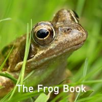 Book Cover for The Frog Book by Jo Byrne