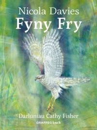 Book Cover for Fyny Fry by Nicola Davies