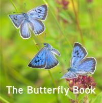 Book Cover for The Butterfly Book by Jane Russ, Andrew Peters