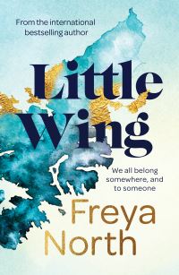 Book Cover for Little Wing by Freya North