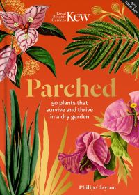 Book Cover for Parched by Philip Clayton
