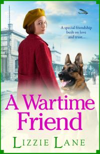 Book Cover for A Wartime Friend by Lizzie Lane