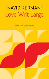 Book Cover for Love Writ Large by Navid Kermani