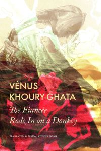 Book Cover for The Fiancée Rode in on a Donkey by Vénus KhouryGhata