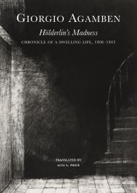 Book Cover for Hölderlin's Madness by Giorgio Agamben