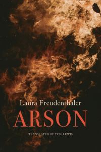 Book Cover for Arson by Laura Freudenthaler