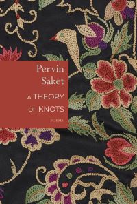 Book Cover for A Theory of Knots by Pervin Saket