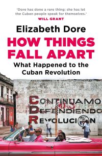 Book Cover for How Things Fall Apart by Elizabeth Dore