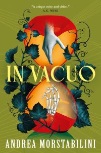 Book Cover for In Vacuo by Andrea Morstabilini