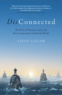 Book Cover for DisConnected by Steve Taylor