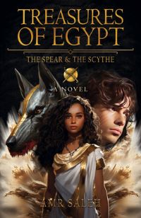 Book Cover for Treasures of Egypt by Amr Saleh