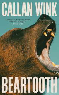 Book Cover for Beartooth by Callan Wink