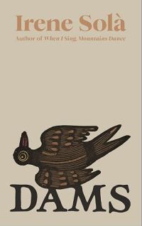 Book Cover for Dams by Irene Solà