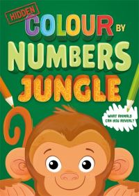 Book Cover for Hidden Colour By Numbers by Igloo Books Ltd