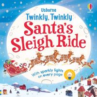 Book Cover for Twinkly Twinkly Santa's Sleigh Ride by Sam Taplin