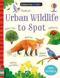 Book Cover for Urban Wildlife to Spot by Kate Nolan