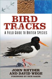 Book Cover for Bird Tracks by John Rhyder, David C Wege