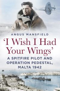 Book Cover for 'I Wish I Had Your Wings' by Angus Mansfield