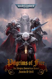 Book Cover for Pilgrims of Fire by Justin D Hill
