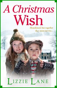 Book Cover for A Christmas Wish by Lizzie Lane
