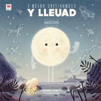 Book Cover for Y Noson Ddiflannodd Y Lleuad by Brendan Kearney
