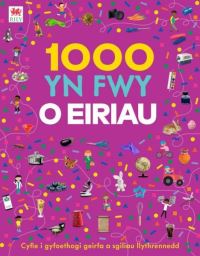 Book Cover for 1000 Yn Fwy O Eiriau by Gill Budgell